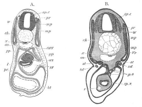 Illustration: Figure 23