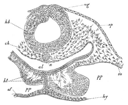 Illustration: Figure 270