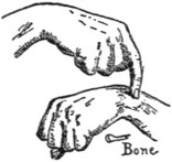 Bone